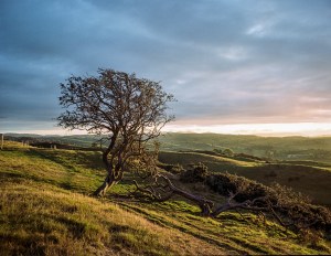 Bronica ETRS, Kodak Portra 160, 1/30th s, f4