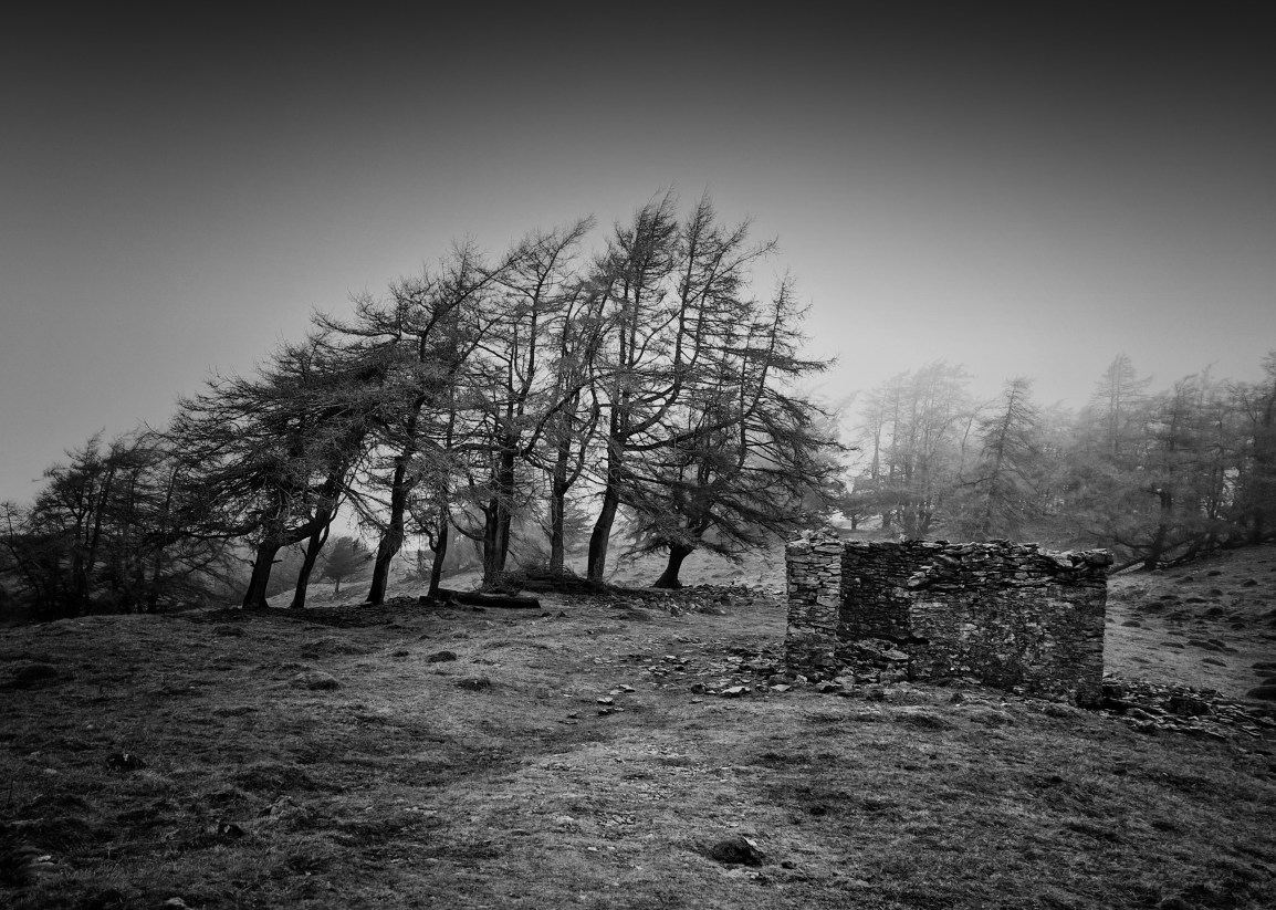 Manbag #17 – Why I&nbsp;Run